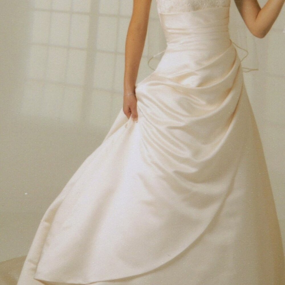 David's Bridal St. Tropez Size 12 Wedding Dress, Strapless A-Line, Light Gold